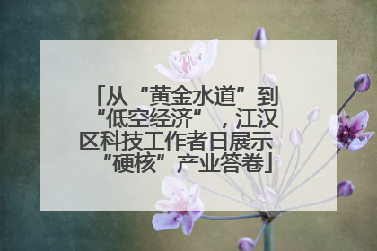 从“黄金水道”到“低空经济”，江汉区科技工作者日展示“硬核”产业答卷