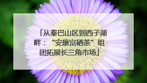 从秦巴山区到西子湖畔：“安康富硒茶”组团拓展长三角市场