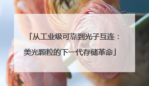 从工业级可靠到光子互连：美光颗粒的下一代存储革命
