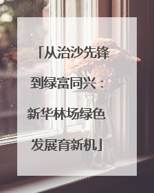 从治沙先锋到绿富同兴：新华林场绿色发展育新机
