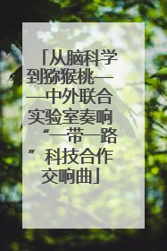 从脑科学到猕猴桃——中外联合实验室奏响“一带一路”科技合作交响曲