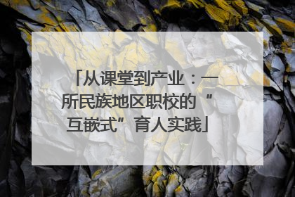 从课堂到产业：一所民族地区职校的“互嵌式”育人实践