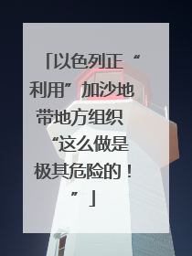 以色列正“利用”加沙地带地方组织  “这么做是极其危险的！”