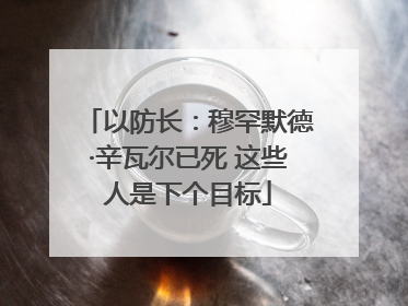 以防长：穆罕默德·辛瓦尔已死 这些人是下个目标