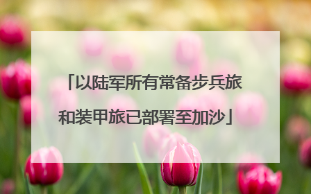 以陆军所有常备步兵旅和装甲旅已部署至加沙