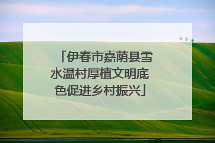 伊春市嘉荫县雪水温村厚植文明底色促进乡村振兴