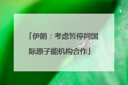 伊朗：考虑暂停同国际原子能机构合作