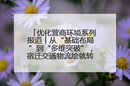 优化营商环境系列报道丨从“基础布局”到“多维突破”，宿迁交通物流绘就转型增效新画卷