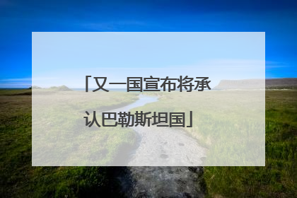 又一国宣布将承认巴勒斯坦国