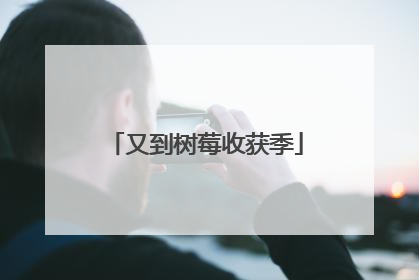 又到树莓收获季