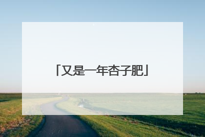 又是一年杏子肥