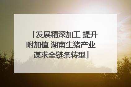 发展精深加工 提升附加值 湖南生猪产业谋求全链条转型