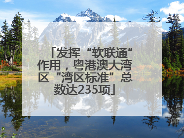 发挥“软联通”作用，粤港澳大湾区“湾区标准”总数达235项