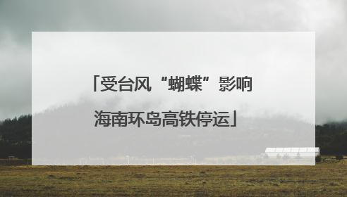 受台风“蝴蝶”影响 海南环岛高铁停运