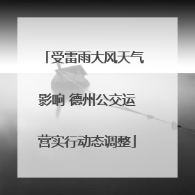 受雷雨大风天气影响 德州公交运营实行动态调整
