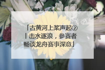 古黄河上桨声起②丨击水逐浪，参赛者畅谈龙舟赛事深意