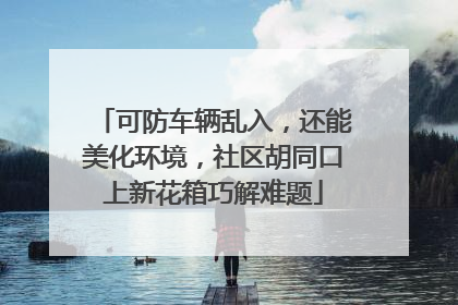 可防车辆乱入，还能美化环境，社区胡同口上新花箱巧解难题