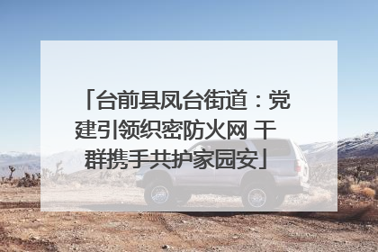 台前县凤台街道：党建引领织密防火网 干群携手共护家园安