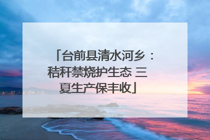 台前县清水河乡：秸秆禁烧护生态 三夏生产保丰收