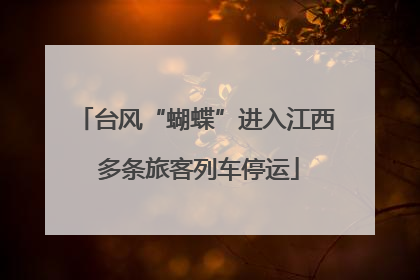 台风“蝴蝶”进入江西 多条旅客列车停运