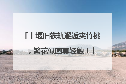 十堰旧铁轨邂逅夹竹桃，繁花似画莫轻触！