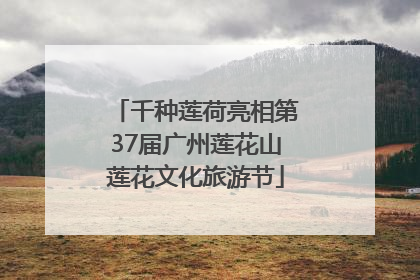 千种莲荷亮相第37届广州莲花山莲花文化旅游节