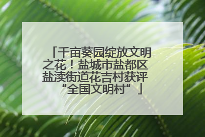 千亩葵园绽放文明之花！盐城市盐都区盐渎街道花吉村获评“全国文明村”