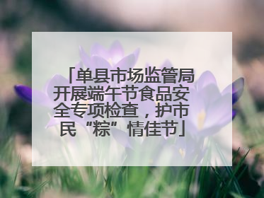 单县市场监管局开展端午节食品安全专项检查，护市民“粽”情佳节