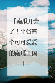 南瓜开会了！平谷有个可可爱爱的南瓜王国