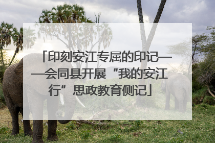 印刻安江专属的印记——会同县开展“我的安江行”思政教育侧记