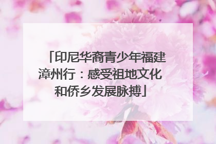 印尼华裔青少年福建漳州行：感受祖地文化和侨乡发展脉搏