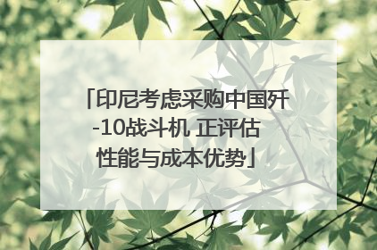 印尼考虑采购中国歼-10战斗机 正评估性能与成本优势