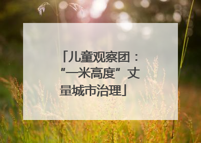 儿童观察团：“一米高度”丈量城市治理