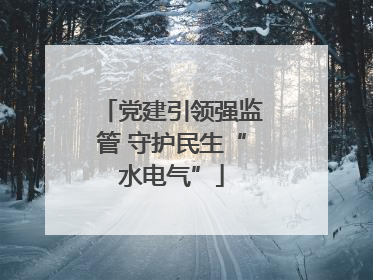 党建引领强监管 守护民生“水电气”