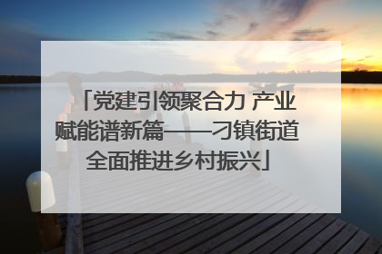 党建引领聚合力 产业赋能谱新篇——刁镇街道全面推进乡村振兴