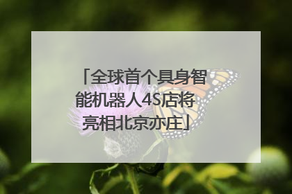全球首个具身智能机器人4S店将亮相北京亦庄