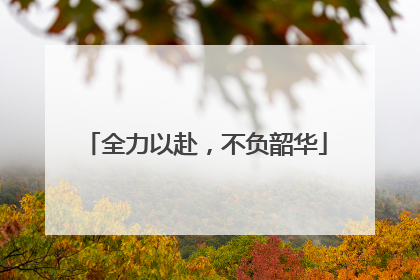 全力以赴，不负韶华