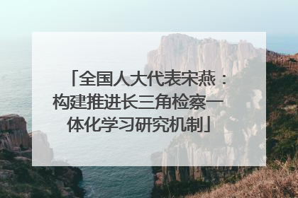 全国人大代表宋燕：构建推进长三角检察一体化学习研究机制