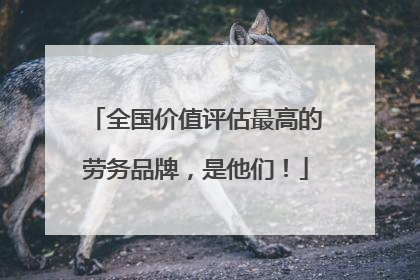 全国价值评估最高的劳务品牌，是他们！