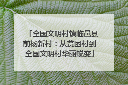 全国文明村镇临邑县前杨新村：从贫困村到全国文明村华丽蜕变
