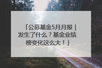 公募基金5月月报｜发生了什么？基金业绩榜变化这么大！