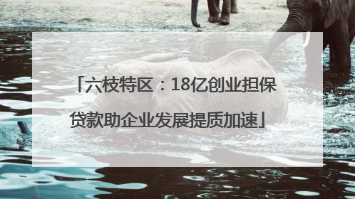 六枝特区：18亿创业担保贷款助企业发展提质加速