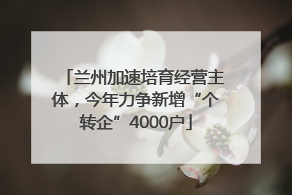 兰州加速培育经营主体，今年力争新增“个转企”4000户