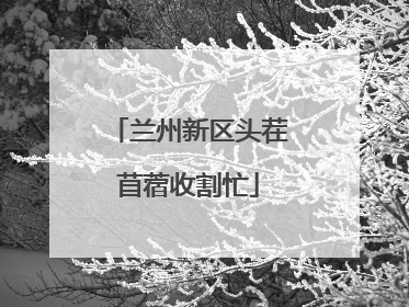 兰州新区头茬苜蓿收割忙