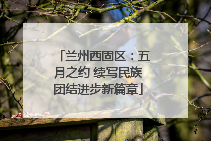 兰州西固区：五月之约 续写民族团结进步新篇章