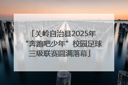 关岭自治县2025年“奔跑吧少年”校园足球三级联赛圆满落幕