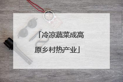 冷凉蔬菜成高原乡村热产业