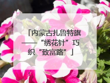 内蒙古扎鲁特旗——“绣花针”巧织“致富路”