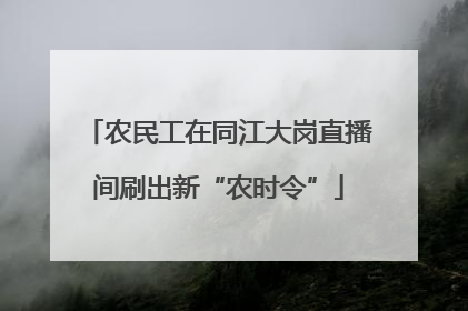 农民工在同江大岗直播间刷出新“农时令”