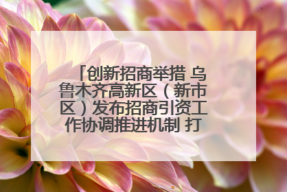 创新招商举措 乌鲁木齐高新区（新市区）发布招商引资工作协调推进机制 打造投资发展新高地